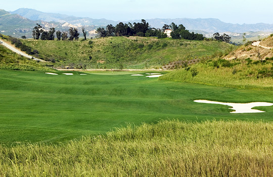 Canyon Crest - Mountain View