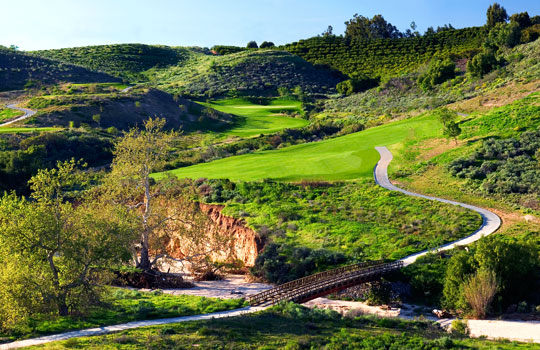 Creekside - La Bruja Verde