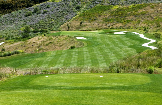 Creekside - Saddleback