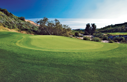 Ridgeline - Dog Bone